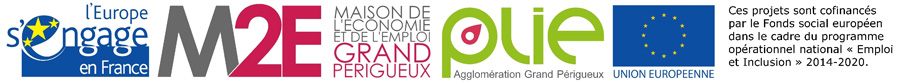 Bandeau Officiel M2E FSE